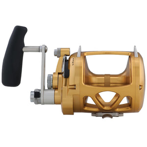 PENN International 50 VISW INT50VISW 2-Speed Conventional Reel - Gold