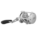 PENN International 30 VISWS INT30VISWS 2-Speed Conventional Reel - Silver